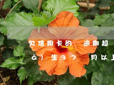 欠信用卡的錢逾期超過三個月（信用卡發(fā)生37個月以上逾期）