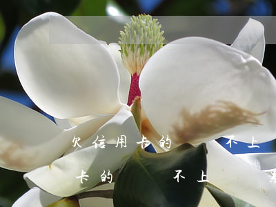 欠信用卡的錢還不上會連累家人嗎-欠信用卡的錢還不上會連累家人嗎