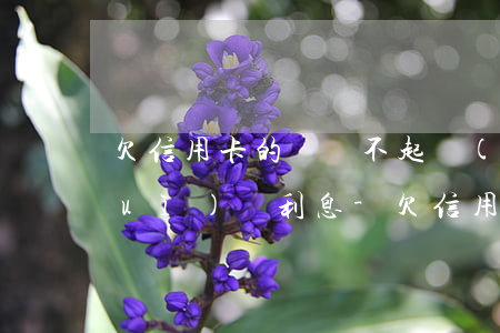 欠信用卡的錢還不起會(huì)不會(huì)滾利息-欠信用卡的錢還不起會(huì)不會(huì)滾利息呢