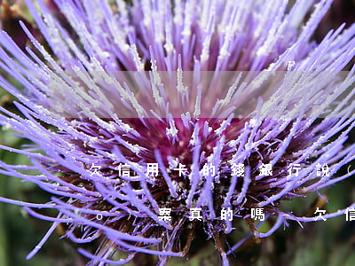 欠信用卡的錢銀行說(shuō)報(bào)案真的嗎-欠信用卡的錢銀行說(shuō)報(bào)案真的嗎怎么辦