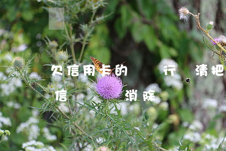 欠信用卡的錢銀行還清(把信用卡欠款還清征信記錄會消除嗎)