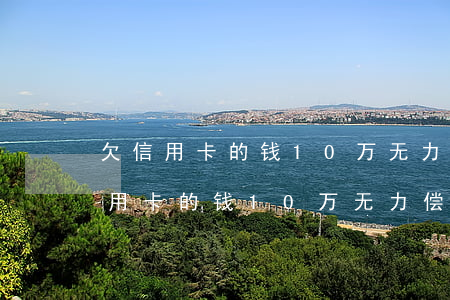 欠信用卡的钱10万无力偿还怎么办-欠信用卡的钱10万无力偿还怎么办呢