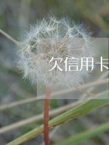欠信用卡的钱l(欠信用卡的钱l)