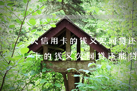 欠信用卡的钱又欠网贷还能贷款吗-欠信用卡的钱又欠网贷还能贷款吗知乎