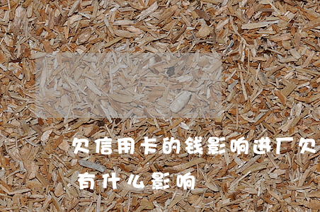 欠信用卡的钱影响进厂 欠信用卡的钱对工作有什么影响