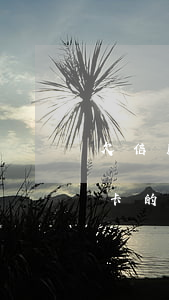 欠信用卡的钱无力偿还债务怎么办-欠信用卡的钱无力偿还债务怎么办呢