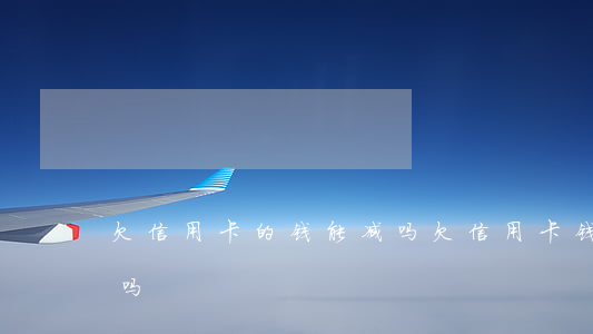 欠信用卡的钱能减吗(欠信用卡钱能减免利息吗)