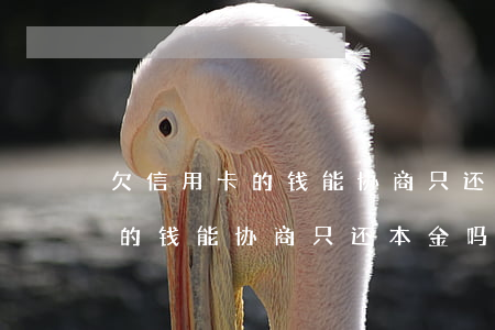 欠信用卡的钱能协商只还本金吗-欠信用卡的钱能协商只还本金吗合法吗