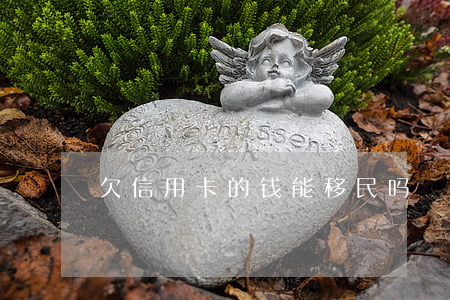 欠信用卡的钱能移民吗