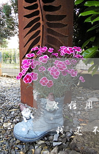 欠信用卡的钱还不了怎么办(欠信用卡银行的钱还不起怎么办)
