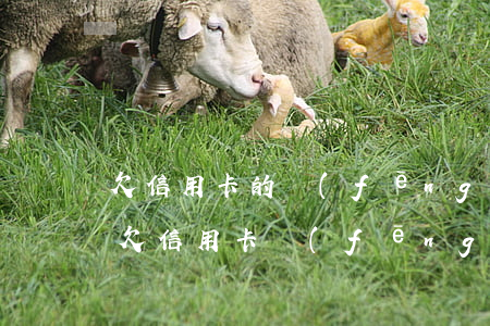 欠信用卡的風(fēng)險(xiǎn)(欠信用卡風(fēng)險(xiǎn)評估上門)