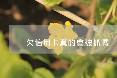 欠信用卡真的會被抓嗎