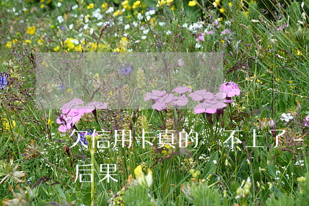 欠信用卡真的還不上了-欠信用卡還不起的后果