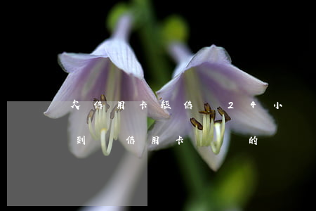 欠信用卡短信說24小時(shí)上門 接到說信用卡沒還的電話