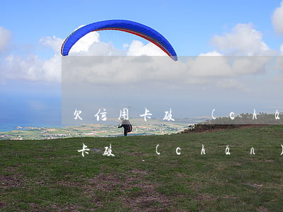 欠信用卡破產(chǎn)了怎么辦(欠信用卡破產(chǎn)了怎么辦)