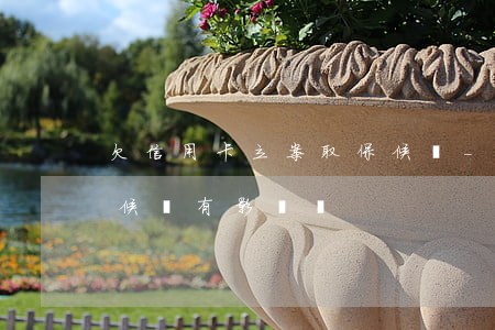 欠信用卡立案取保候審-欠信用卡立案取保候審有影響嗎