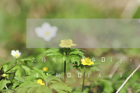 欠信用卡立案后結(jié)清 欠信用卡還清了起訴會(huì)撤銷(xiāo)嗎