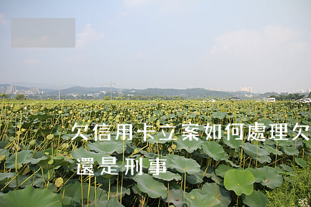 欠信用卡立案如何處理(欠信用卡立案是民事還是刑事)