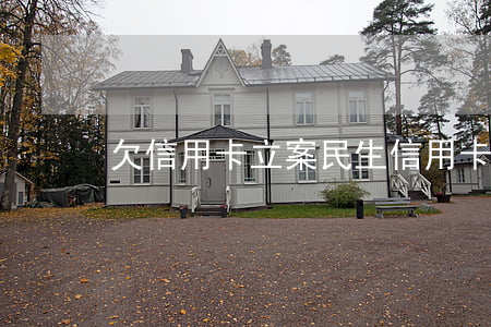 欠信用卡立案（民生信用卡逾期欠款查詢）