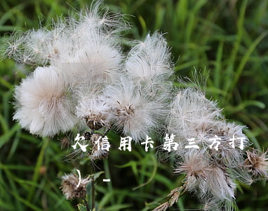 欠信用卡第三方打電話讓少還點(diǎn)-
