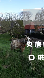 欠信用卡第二次去經(jīng)偵大隊錄口供-欠信用卡了經(jīng)偵什么時候會找自己