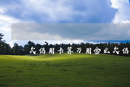 欠信用卡算万用金么 欠信用卡算万用金么