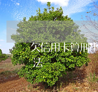 欠信用卡算刑事案件嗎（欠信用卡逾期屬于刑法）
