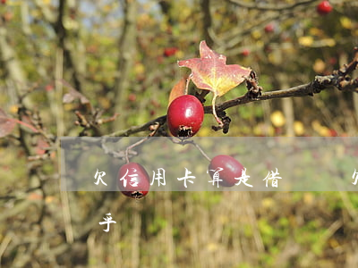 欠信用卡算是借貸嗎 欠信用卡算是借貸嗎知乎