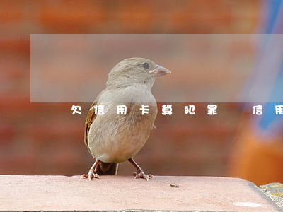 欠信用卡算犯罪嗎（信用卡逾期算犯罪不）