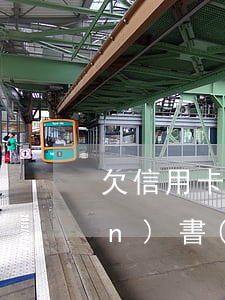 欠信用卡簽訂無(wú)力償還確認(rèn)書(shū)（信用卡逾期無(wú)力償還證明）