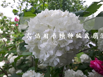 欠信用卡精神极度崩溃（欠信用卡失眠怎么办）