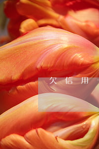 欠信用卡終身不還的結(jié)果