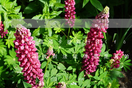 欠信用卡給銀行發(fā)郵件(欠信用卡郵箱收到法院傳票是真的嗎)