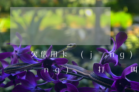 欠信用卡 經(jīng)偵(欠信用卡經(jīng)偵給打電話叫我去經(jīng)偵大隊能拘留我不)