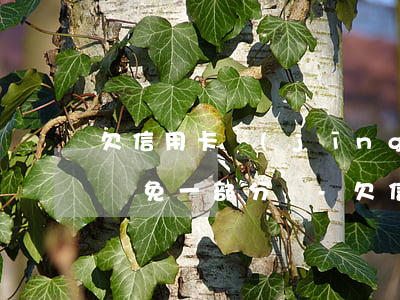 欠信用卡經(jīng)濟(jì)困難會減免一部分嗎-欠信用卡經(jīng)濟(jì)困難會減免一部分嗎怎么辦