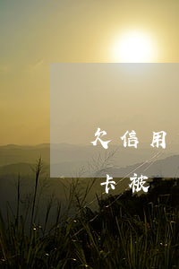 欠信用卡網(wǎng)上通緝后-欠信用卡被網(wǎng)上通緝了怎么辦