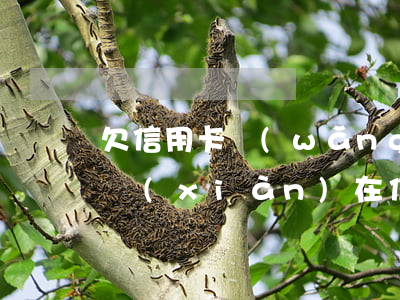 欠信用卡網(wǎng)貨都逾期還不起(我現(xiàn)在信用卡和網(wǎng)貸全部逾期還不起了怎么辦)