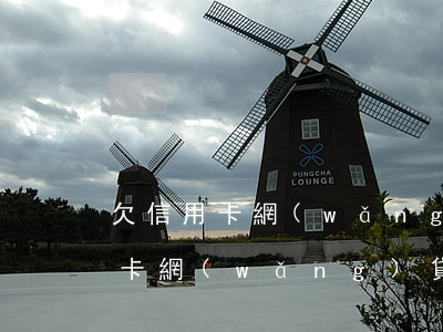 欠信用卡網(wǎng)貸100萬(欠信用卡網(wǎng)貸100萬無力償還)
