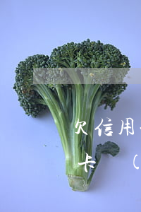 欠 信用卡 網(wǎng)貸 100萬(欠信用卡網(wǎng)貸100萬無力償還會坐牢嗎)