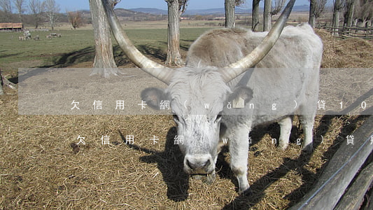 欠信用卡網(wǎng)貸10萬怎么翻身(欠信用卡網(wǎng)貸幾十萬)