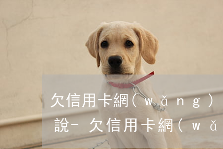 欠信用卡網(wǎng)貸10萬我該怎么說-欠信用卡網(wǎng)貸10萬無力償還會(huì)怎樣