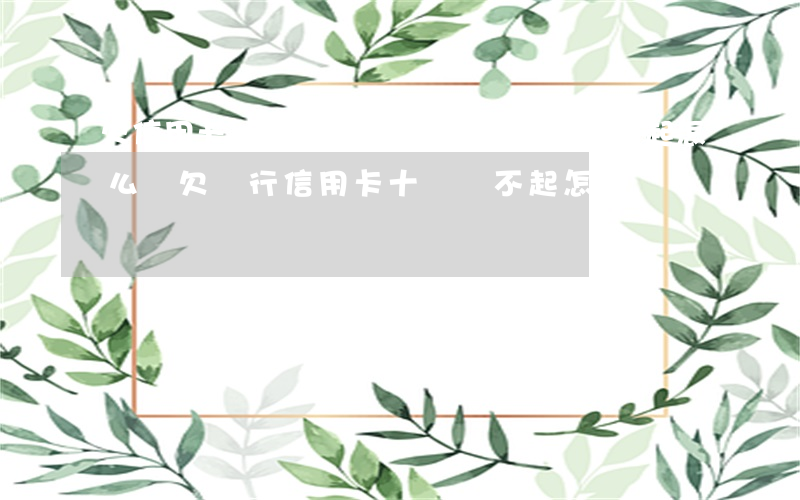 欠信用卡網(wǎng)貸10萬還不起怎么辦(欠銀行信用卡十萬還不起怎么辦)
