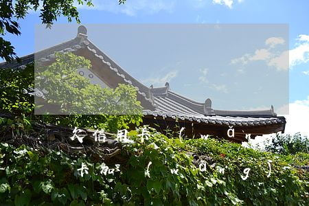 欠信用卡網(wǎng)貸130萬(欠信用卡加網(wǎng)貸總共三十萬)