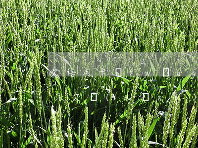 欠信用卡網(wǎng)貸150萬處理方法(欠網(wǎng)貸信用卡五十多萬)