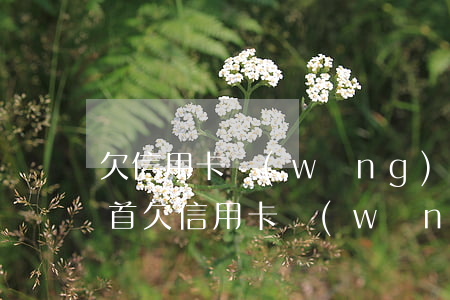 欠信用卡網(wǎng)貸15萬左右去自首(欠信用卡網(wǎng)貸15萬左右去自首)