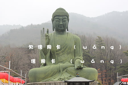 欠信用卡網(wǎng)貸16萬怎么還(欠信用卡網(wǎng)貸16萬怎么還)