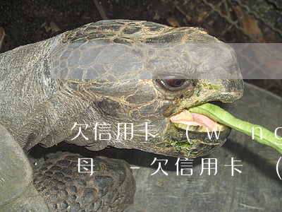 欠信用卡網(wǎng)貸17萬怎么和父母說-欠信用卡網(wǎng)貸17萬怎么和父母說呢