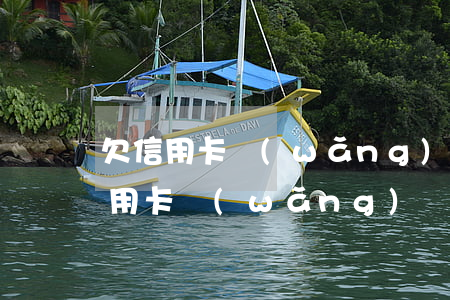 欠信用卡網(wǎng)貸20多萬-欠信用卡網(wǎng)貸20多萬去自首判幾年