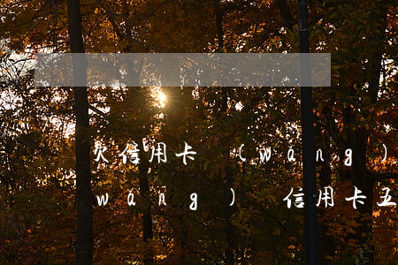 欠信用卡網(wǎng)貸300萬(欠網(wǎng)貸信用卡五十多萬)