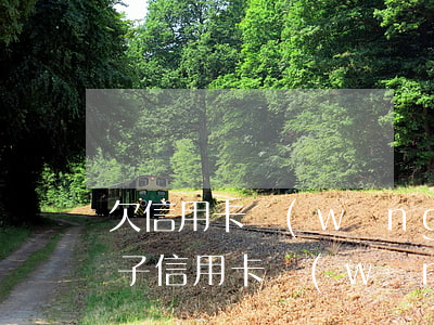 欠信用卡網(wǎng)貸30多萬按揭房子(信用卡 網(wǎng)貸欠15萬能辦房貸嗎)